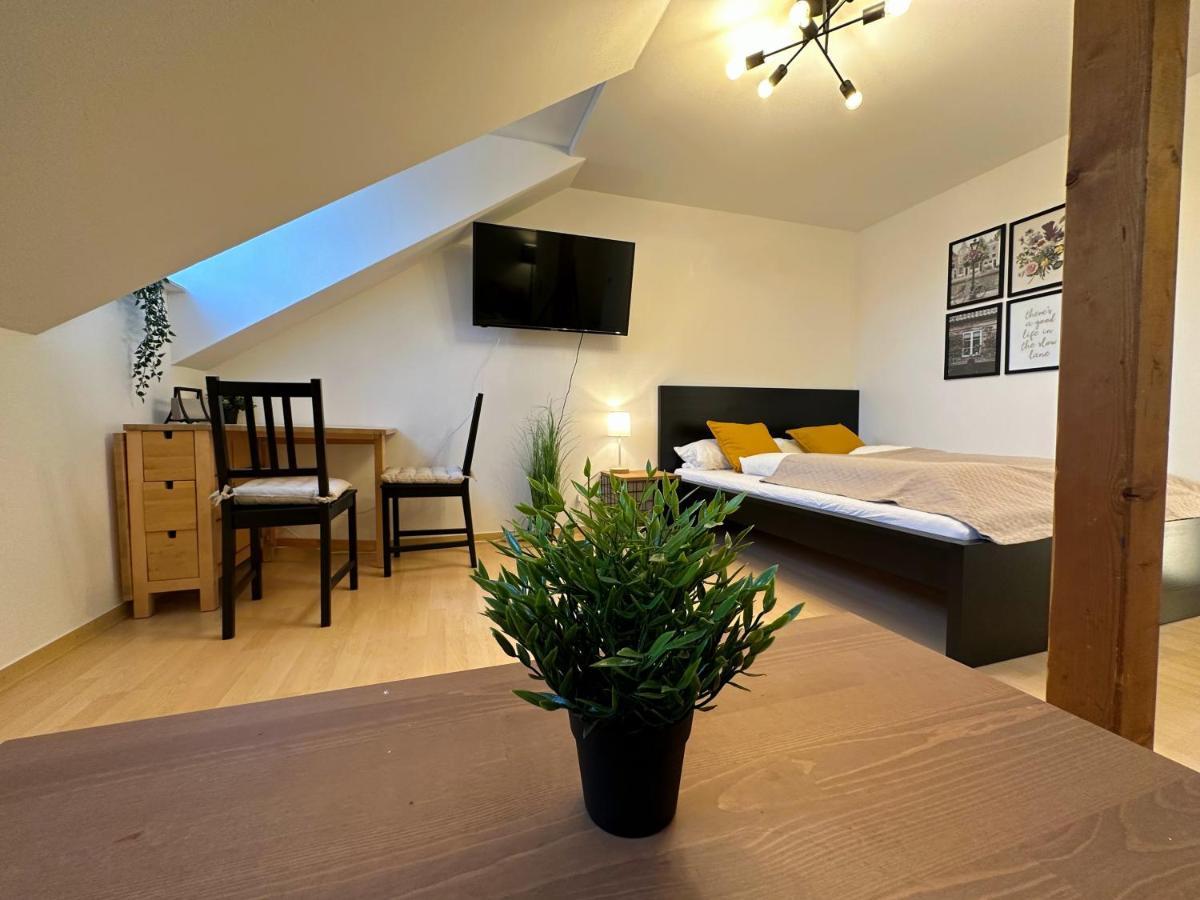 Gemuetliche, Charmante Ferienwohnung Naehe Zentrum Plauen Eksteriør bilde